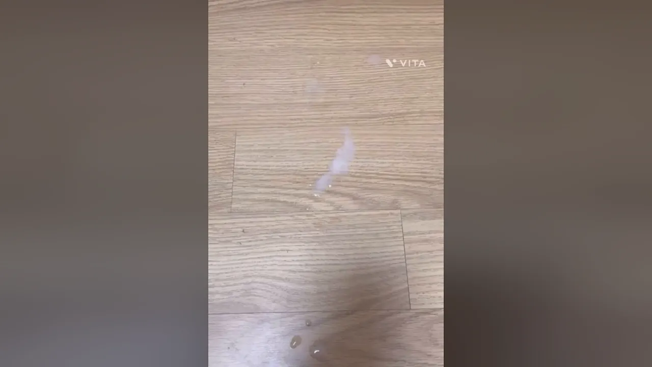 cum shot
